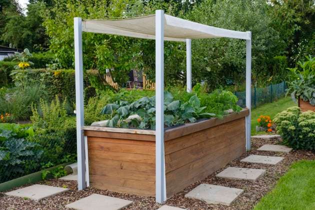 IMAGO Creative: Garten, Anbau im Hochbeet Hochbeet mit Gemüse im Kleingarten, Schrebergarten, Nordrhein-Westfalen, Deutschland, Europa *** raised bed with Vegetables at Allotment garden, Allotment garden, North Rhine Westphalia, Germany, Europe 1100403372