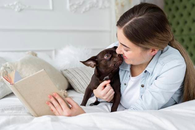  Close up Mädchen lesen Bett mit niedlichen Hund *** Close up Girls read Bed with cute Dog Copyright: imageBROKER/OleksandrxLatkun ibxole09581157.jpg ,model released, Symbolfoto ,property released