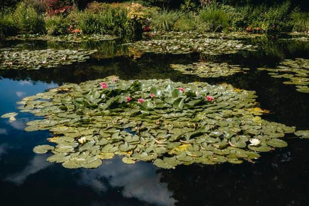 Paris 2023 Travel Bilder Giverny, 6.07.23: Ehemaliges Haus und Garten von dem Maler und Künstler Claude Monet. *** Paris 2023 Travel pictures Giverny, 6 07 23 Former house and garden of the painter and artist Claude Monet