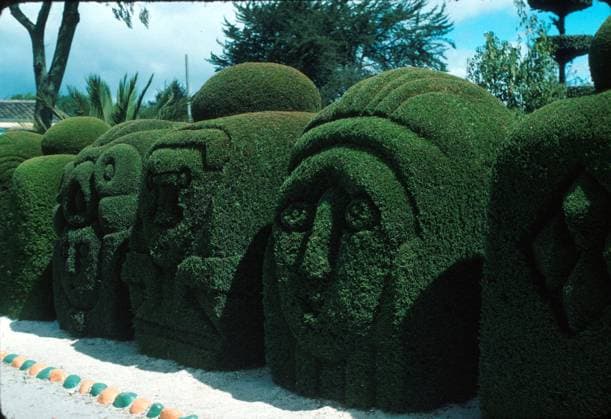 Topiary Tulcan, Ecuador Topiary Tulcan, Ecuador, Credit:Jessica A. Ehlers Avalon  Copyright: xJessicaxA.xEhlersx xAvalonx 0507964879