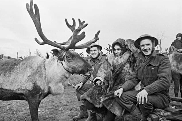 WWII POLAR REGIONS DEER RAISER BRITISH 1301 01.06.1942 A Soviet deer raiser talking to British mechanics at their airfield in the polar region. Haldei Sputnik Murmansk region Russia  Copyright: xHaldeix