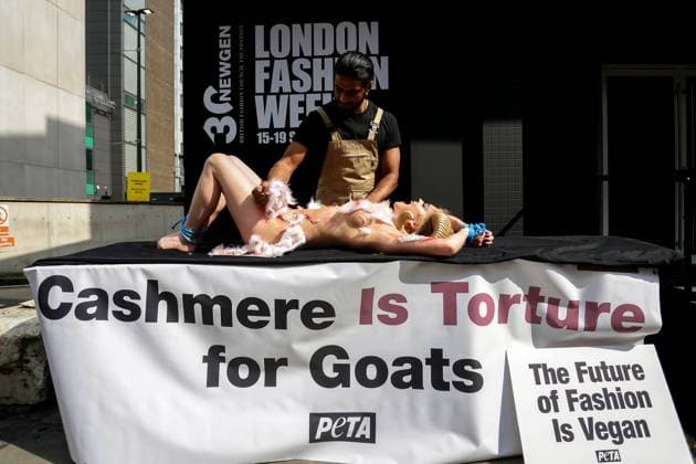 . 15 09 2023. London, United Kingdom. PETA Protest London Fashion Week Over Cashmere Garments. PETA supporters hold a goat combing outside the British Fashion Council s (BFC) NEWGEN Show Space to demonstrate what happens in the industry. A worker will pin down a screaming and nearly nude PETA supporter dressed as a goat and tear their hair out with a giant silver comb, leaving them with bloody wounds.  xMartynxWheatleyx xi-Imagesx IIM-24676-0003