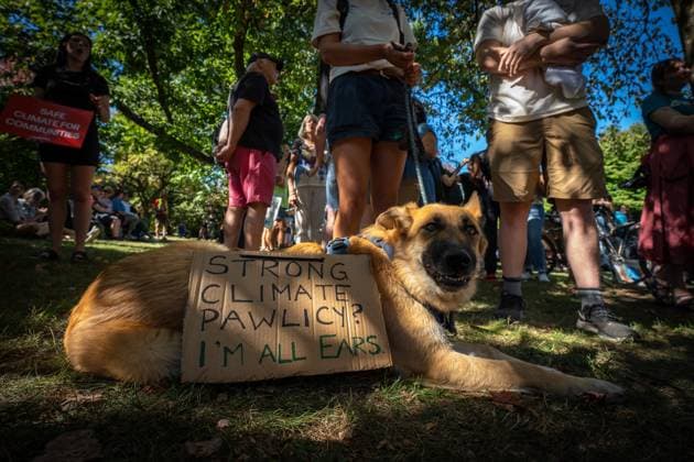 September 15, 2023, VANCOUVER, BC, CANADA: A dog wears a sign during the Global Climate Strike protest in Vancouver on Friday, September 15, 2023. VANCOUVER CANADA  - ZUMAc35_ 20230915_zaf_c35_105 Copyright: xEthanxCairnsx