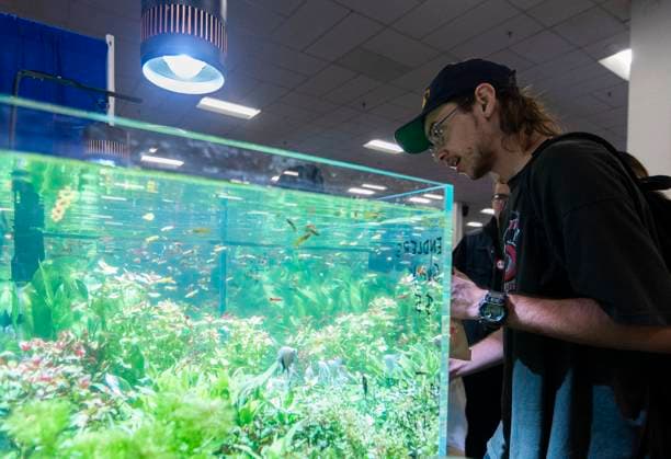 (230918) -- MISSISSAUGA, Sept. 18, 2023 -- A man looks at an aquarium on display during the 2023 Canadian Pet Expo in Mississauga, Ontario, Canada, Sept. 17, 2023. The annual two-day event held here from Sept. 16 to 17 attracted many families and their pets. (Photo by Xinhua) CANADA-MISSISSAUGA-PET EXPO ZouxZheng 
