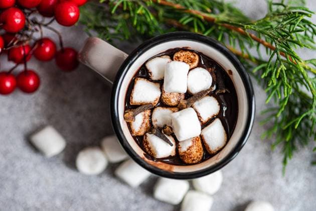 Top view of mug of cocoa with marshmallow near fir twigs on gray background in Christmas time Model Released AnnaBogush_ID16195_492484_042 Copyright: xAnnaxBogushx