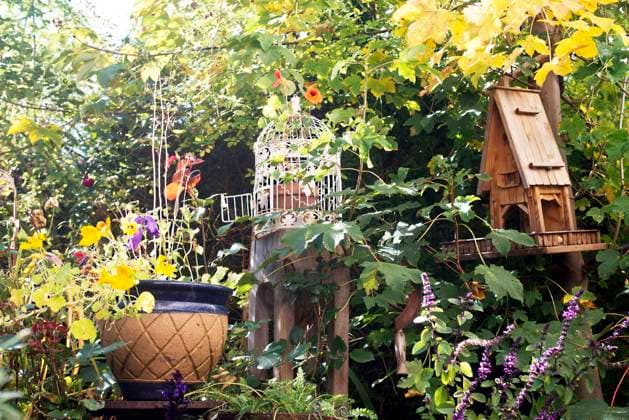 Birdhouse and birdcage in lush autumn garden property released, HHF05923