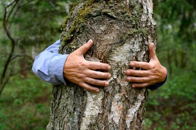 Man s hands hugging tree in forest model released, Symbolfoto, EYAF02785