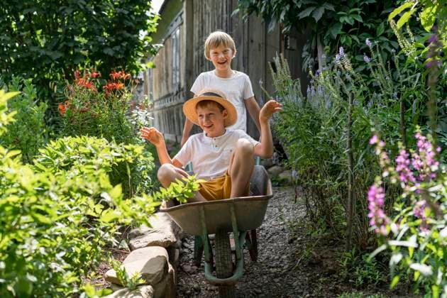 IMAGO Creative: Sommer, Sommertage im Garten Smiling boy with brother sitting in wheelbarrow on sunny day model released, Symbolfoto property released, VBUF00370