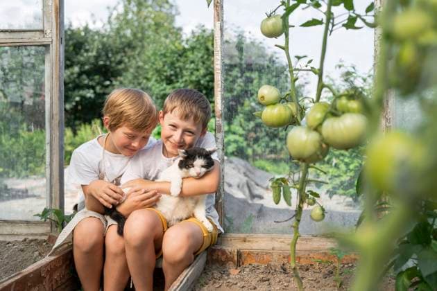 IMAGO Creative: Sommer, Sommertage im Garten Happy boys sitting with cat in garden model released, Symbolfoto property released, VBUF00381