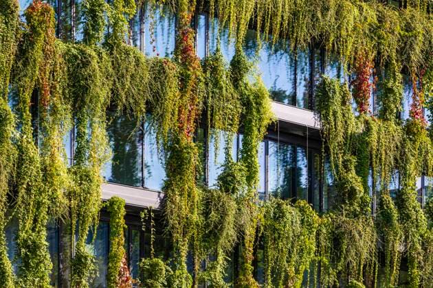 Germany, Baden-Wurttemberg, Stuttgart, Overgrown facade of office building, Stuttgart Baden-Württemberg Deutschland Stuttgart-Mitte WDF07381