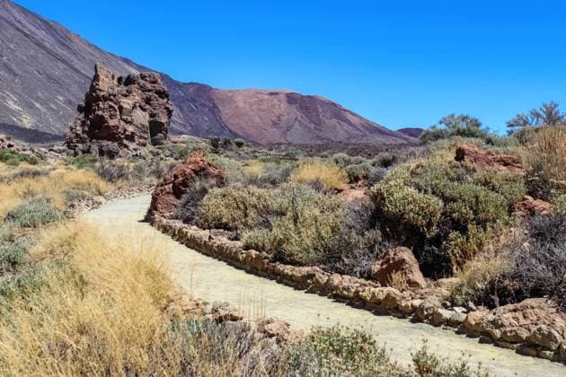 Die Felsformationen der Roques de Garcia auf der Kanarischen Insel Teneriffa *** the Rock formations the Roques de Garcia at the Canaries Island Tenerife 1127107560