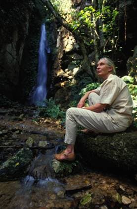 IMAGO ICONS: Jane Goodall DR. JANE GOODALL DR. JANE GOODALL at a waterfall. Gombe National Park Tanzania., Credit:DAVID HIGGS Avalon  Copyright: xDAVIDxHIGGSx xAvalonx 0515895104