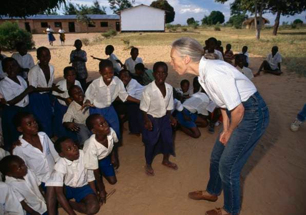 IMAGO ICONS: Jane Goodall DR. JANE GOODALL DR. JANE GOODALL teaching African school children chimp language. Kitwe Point Sanctuary Kigoma Tanzania, Credit:DAVID HIGGS Avalon  Copyright: xDAVIDxHIGGSx xAvalonx 0515895171