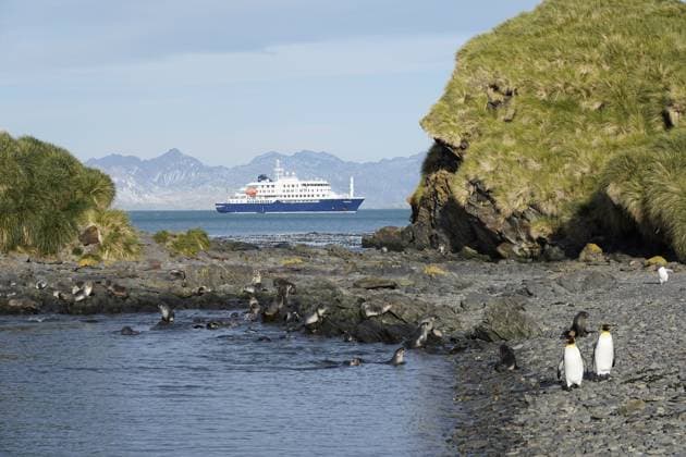 MS Hondius, Jason Harbour, Südgeorgien Jason Harbour, South Georgia Copyright: xZoonar.com lotharxkurtzex 20390960