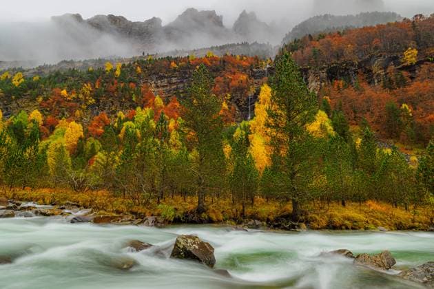 Water falling into the river in the forest of the Ordesa y Monte Perdido National Park in autumn in Huesca, Spain Model Released EgoitzIcaza_ID16901_516192_001 Copyright: xEgoitzxIcazax