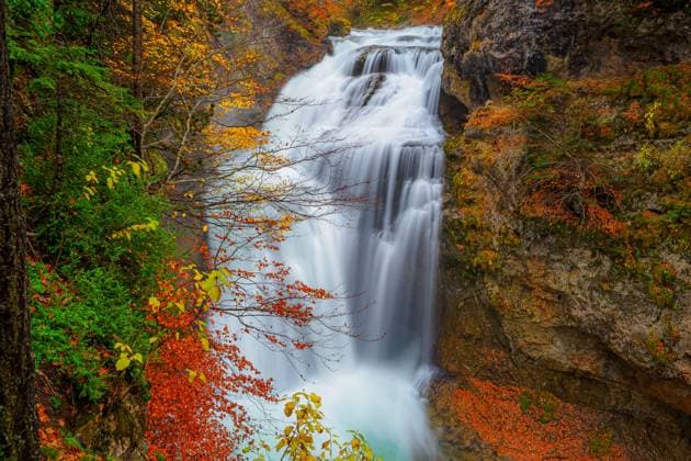 Water falling into the river in the forest of the Ordesa y Monte Perdido National Park in autumn in Huesca, Spain Model Released EgoitzIcaza_ID16901_516195_002 Copyright: xEgoitzxIcazax