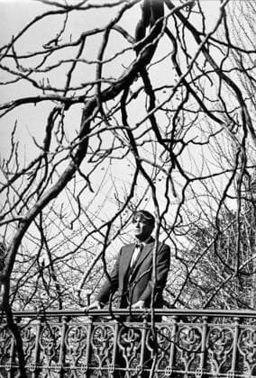 Film Cape Fear Actor Gregory Peck in a scene of the film Savannah, Georgia USA  Copyright: xLeoxFuchsx 0101 Gregory Peck (Cape Fear) FOREST SET