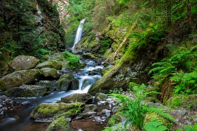 Ravenna Schlucht im Schwarzwald Ravenna gorge near Hinterzarten in the Black Forest, Germany Copyright: xZoonar.com JuergenxWieslerx 20513530