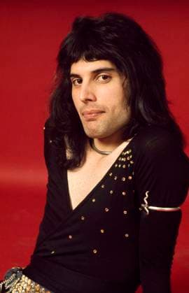 Freddie Mercury Freddie mercury of Queen London 1973, Credit:Michael Putland Avalon  Copyright: xMichaelxPutlandx xAvalonx 0517070473