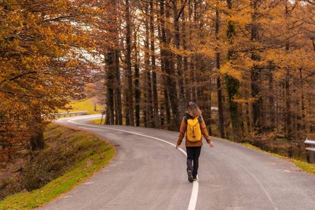 Creative Highlights Symbolbilder Eine junge Frau geht im Herbst auf einer von Bäumen gesäumten Straße am Monte de Erlaitz in der Stadt Irun, Gipuzkoa, spazieren. Baskenland *** a Boy Woman goes at Autumn at a from Trees lined Street on Monte de Erlaitz in the City Irun, Gipuzkoa, walk Basque Country Copyright: imageBROKER/UnaixHuizi ibxuhu09694714.jpg ,model released, Symbolfoto ,property released