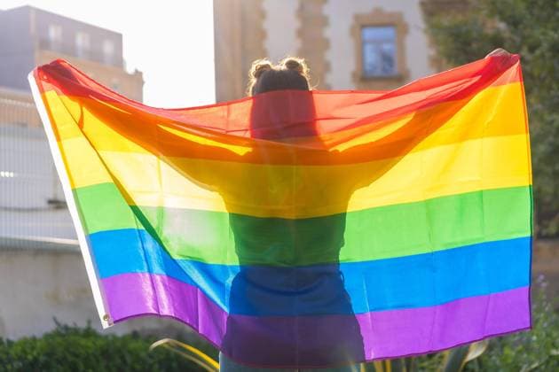a Close-up from a Boys Caucasian female Silhouette behind LGBT Proud Flag at Free Copyright: imageBROKER/UnaixHuizi ibxuhu09696303.jpg ,model released, Symbolfoto ,property released
