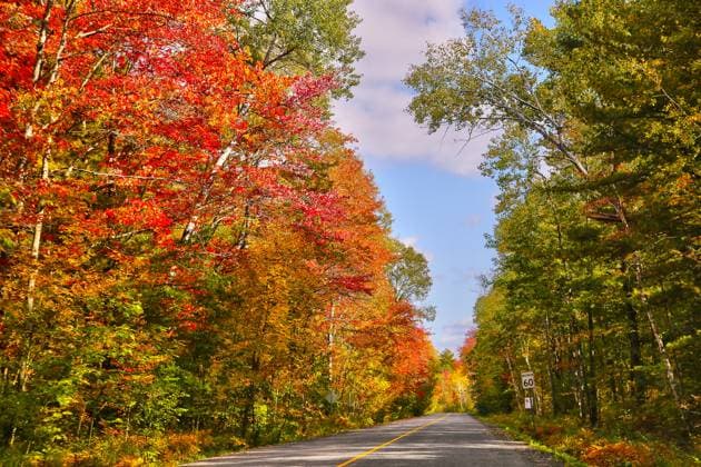 Autumn Season In Muskoka Colourful trees line a rural road during the Autumn season in Muskoka, Ontario, Canada, on September 29, 2023. Muskoka Ontario Canada  Copyright: xCreativexTouchxImagingxLtdx originalFilename: friedman-autumnse230929_nprCG.jpg