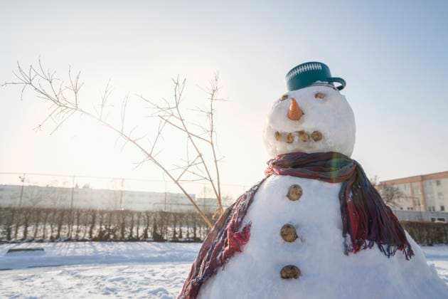 Snowman on snow field Germany CR_RONI170120-01032-01 ,property released