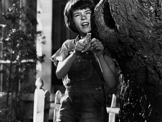 Film To Kill A Mockingbird Actress Mary Badham in a scene of the film Monroeville, Alabama USA  Copyright: xLeoxFuchsx 1052 Mary Badham Scout smiling (To Kill a Mockingbird)