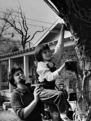 Film To Kill A Mockingbird Actress Mary Badham plays with writer Harper Lee Monroeville, Alabama USA  Copyright: xLeoxFuchsx 1068 Mary Badham Scout HarperLee climbing tree (To Kill a Mockingbird)