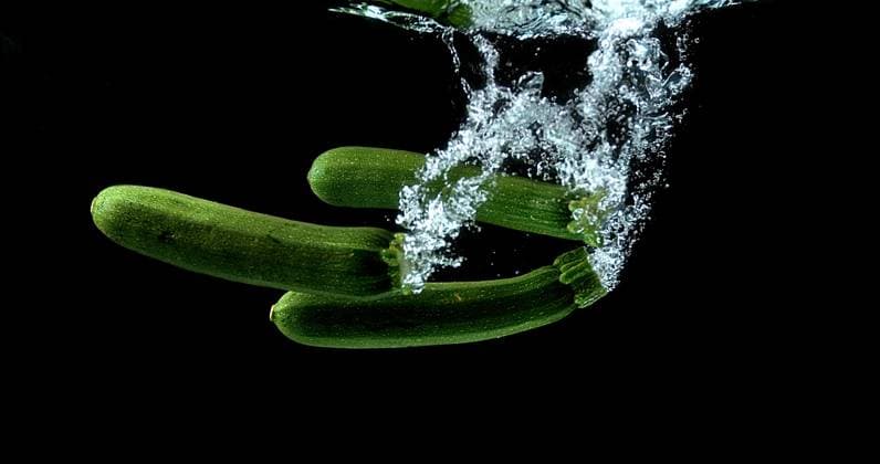 Lange Zucchini (cucurbita pepo), ins Wasser fallendes Gemüse vor schwarzem Hintergrund *** Lange Zucchini Cucurbita Pepo , ins Water Falling Vegetables before black Background Copyright: imageBROKER LaczxGerard ibxlag09727930.jpg