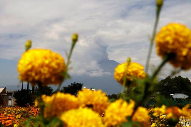 Monumental catrinas receive the Day of the Dead festivity in Atlixco, Mexico October 20, 2023, State of Puebla, Mexico: The Popocatepetl volcano seen from the municipality of Atlixco in the state of Puebla. on October 20, 2023 in State of Puebla, Mexico (Photo by Luis Barron Eyepix Group). Copyright: xLuisxBarronx xEyepixxGroupx LB_20231020_CATRINAS11