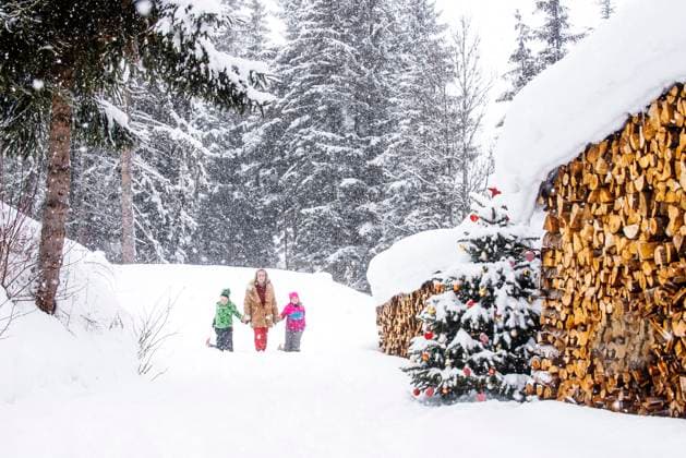 Boy and girl with grandmother walking on snow model released, Symbolfoto, HHF05936