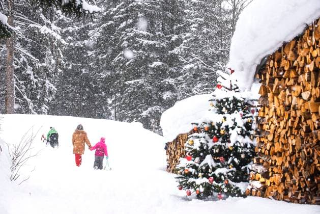 Grandmother walking with children in front of trees on snow model released, Symbolfoto, HHF05939