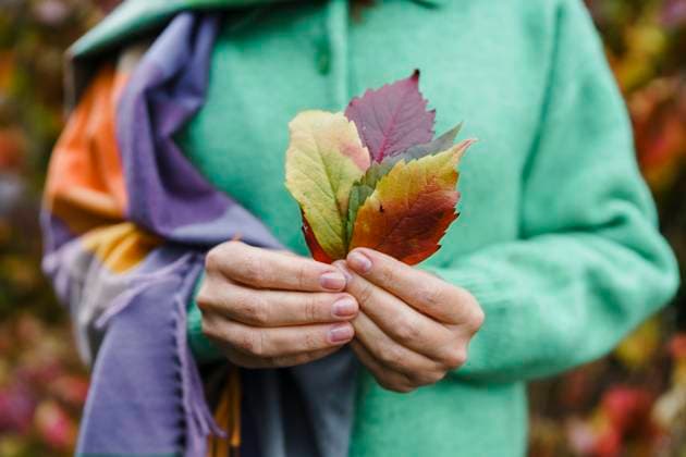 Woman holding autumn leaves at park model released, Symbolfoto, VBUF00441