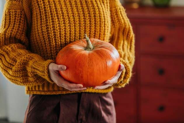 Woman wearing sweater and holding pumpkin at home model released, Symbolfoto property released, VSNF01406