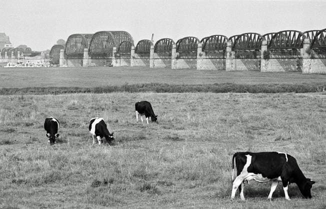 Archive photo from July 1978 of the Dömitzer railroad bridge The almost one-kilometer-long Elbe crossing was built in 1870 in 1873, was part of the West-East railroad line Lüneburg Wittenberge and was partially destroyed by an air raid in 1945 Because of the German divis