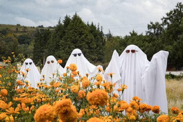 Ghosts In Cempasuchil Field For Day of the Dead Celebrations October 26, 2023, Tlaxcala, Mexico: Persons Dress Up As Ghosts In The Cempasuchil Flower Field On The Occasion Of The Day Of The Dead celebration, In The Municipality Of Tepeyanco. On October 25, 2023 in Tlaxcala, Mexico (Photo by Essene Hernandez Eyepix Group). Copyright: xEssenexHernandez xEyepixxGroupx fantasma_2_of_10