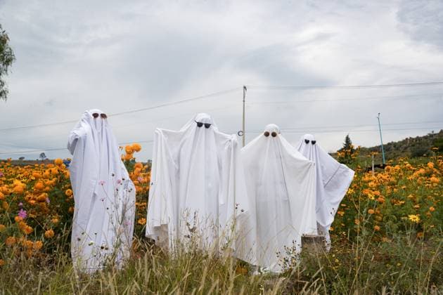 October 26, 2023, Tlaxcala, Mexico: Persons Dress Up As Ghosts In The Cempasuchil Flower Field On The Occasion Of The Day Of The Dead celebration, In The Municipality Of Tepeyanco. On October 25, 2023 in Tlaxcala, Mexico Tlaxcala Mexico - ZUMAe321 20231025_zia_e321_078 Copyright: xEssenexHernandezx