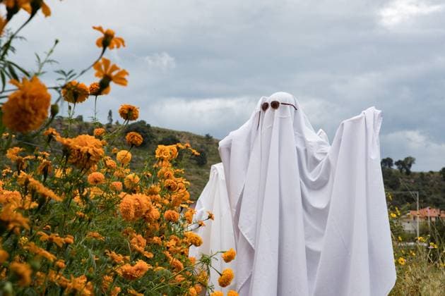 October 26, 2023, Tlaxcala, Mexico: Persons Dress Up As Ghosts In The Cempasuchil Flower Field On The Occasion Of The Day Of The Dead celebration, In The Municipality Of Tepeyanco. On October 25, 2023 in Tlaxcala, Mexico Tlaxcala Mexico - ZUMAe321 20231025_zia_e321_079 Copyright: xEssenexHernandezx