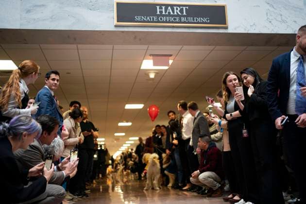 Dogs in costumes parade through the Hart Senate Office Building for the Bipawtisan Howl-o-ween Dog Parade emceed by Sen. Mitt Romney, R-UT, at the U.S. Capitol in Washington, DC on Tuesday, October 31, 2023. Sen. Thom Tillis, R-NC, who created the parade in 2017, was unable to host after testing positive for COVID-19.  WAP20231031482 BONNIExCASH