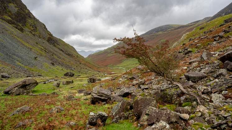 Honister Pass, Lake District National Park, Cumbria, England, Großbritannien, Europa *** Honister Passport, Lake District National Park, Cumbria, England, Great Britain, Europe Copyright: imageBROKER SonjaxJordan ibxjor09779144.jpg