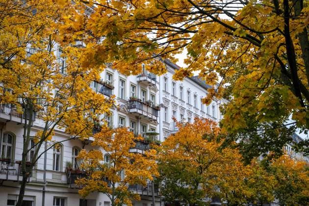 Herbstlich verfärbte Baäume entlang der Lychener Straße in Berlin-Prenzlauer Berg. Autumn-colored trees along Lychener Straße in Berlin-Prenzlauer Berg. Herbststimmung in Berlin *** Autumn colored trees along Lychener Straße in Berlin Prenzlauer Berg Autumn colored trees along Lychener Straße in Berlin Prenzlauer Berg Autumn mood in Berlin S-P20231030531.JPG