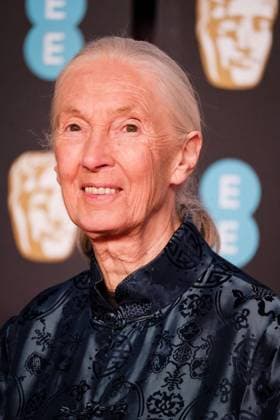 IMAGO ICONS: Jane Goodall Dame Jane Goodall arrives at the EE BRITISH ACADEMY FILM AWARDS IN 2018 on Sunday February 18, 2018 held at the Royal Albert Hall, London. Pictured: Dame Jane Morris Goodall DBE Dame Jane Goodall arrives at the EE BRITISH ACADEMY FILM AWARDS IN 2018 on Sunday February 18, 2018 held at the Royal Albert Hall, London. Pictured: Dame Jane Morris Goodall DBE, Credit:Julie Edwards Avalon UK  Copyright: xJuliexEdwardsx xAvalonx 0511568467