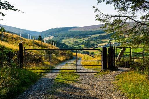 Former rural entrance in the Wicklow Mountains. 14912248 RECORD DATE NOT STATED