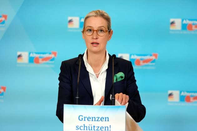 News Themen der Woche KW45 News Bilder des Tages Alice Weidel , Fraktionsvorsitzende der AfD-Bundestagsfraktion, Deutschland, Berlin, Reichstag, Pressekonferenz vor Beginn der Sitzung der AfD-Bundestagsfraktion *** Alice Weidel , Chairwoman of the AfD parliamentary group, Germany, Berlin, Reichstag, Press conference before the start of the AfD parliamentary group meeting