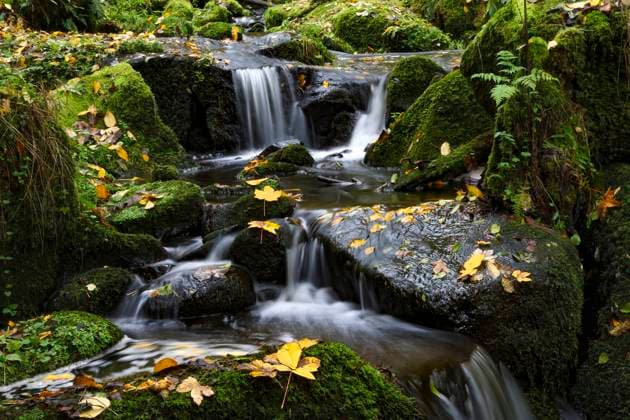 Wasserfall im Schwarzwald Die Lauterbacher Wasserfälle bei Schramberg im Schwarzwald, fotografiert am 29. Oktober 2023. Lauterbach Baden Württemberg Deutschland NK009934 *** Waterfall in the Black Forest The Lauterbach Waterfalls near Schramberg in the Black Forest, photographed on October 29, 2023 Lauterbach Baden Württemberg Germany NK009934