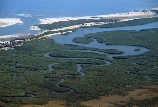 MANGROVE estuary MANGROVE estuary aerial view South of Belo sur Tsiribihina western Madagascar, Credit:NICK GARBUTT Avalon  Copyright: xNICKxGARBUTTx xAvalonx 0514838447
