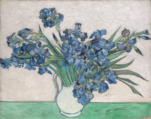 1890. On the eve of his departure from the asylum in Saint-RÃ my in May 1890, Van Gogh painted an exceptional group of four still lifes, to which both the Museum s Roses and Irises (58.187) belong. just before he checked himself out of the asylum at Saint-RÃ my, Van Gogh painted four exuberant bouquets of spring flowers, the only still lifes of any ambition he had undertaken during his yearlong stay. Washington, DC Copyright: xClearedx tkah20140715859-2
