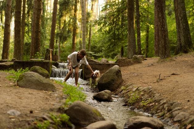 Creative Highlights Symbolbilder Young woman walking with a dog, Cavalier Charles. Minsk, Minsk Region, Belarus CR_YUKI231114H-1277501-01 ,model released, Symbolfoto