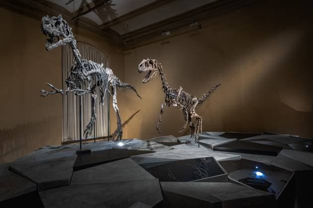 Berlin Mitte, Museum für Naturkunde, Naturkundemuseum, Invalidenstraße Special exhibition Dinosaurs Tristan Otto 15 11 2023 Museum